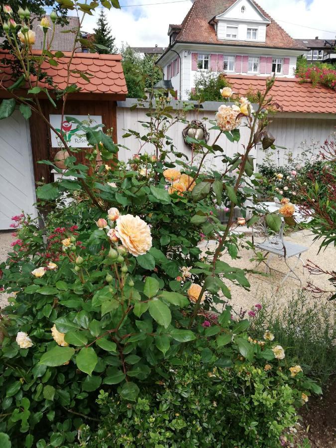 B&B Rosenliebe Niedereschach Εξωτερικό φωτογραφία
