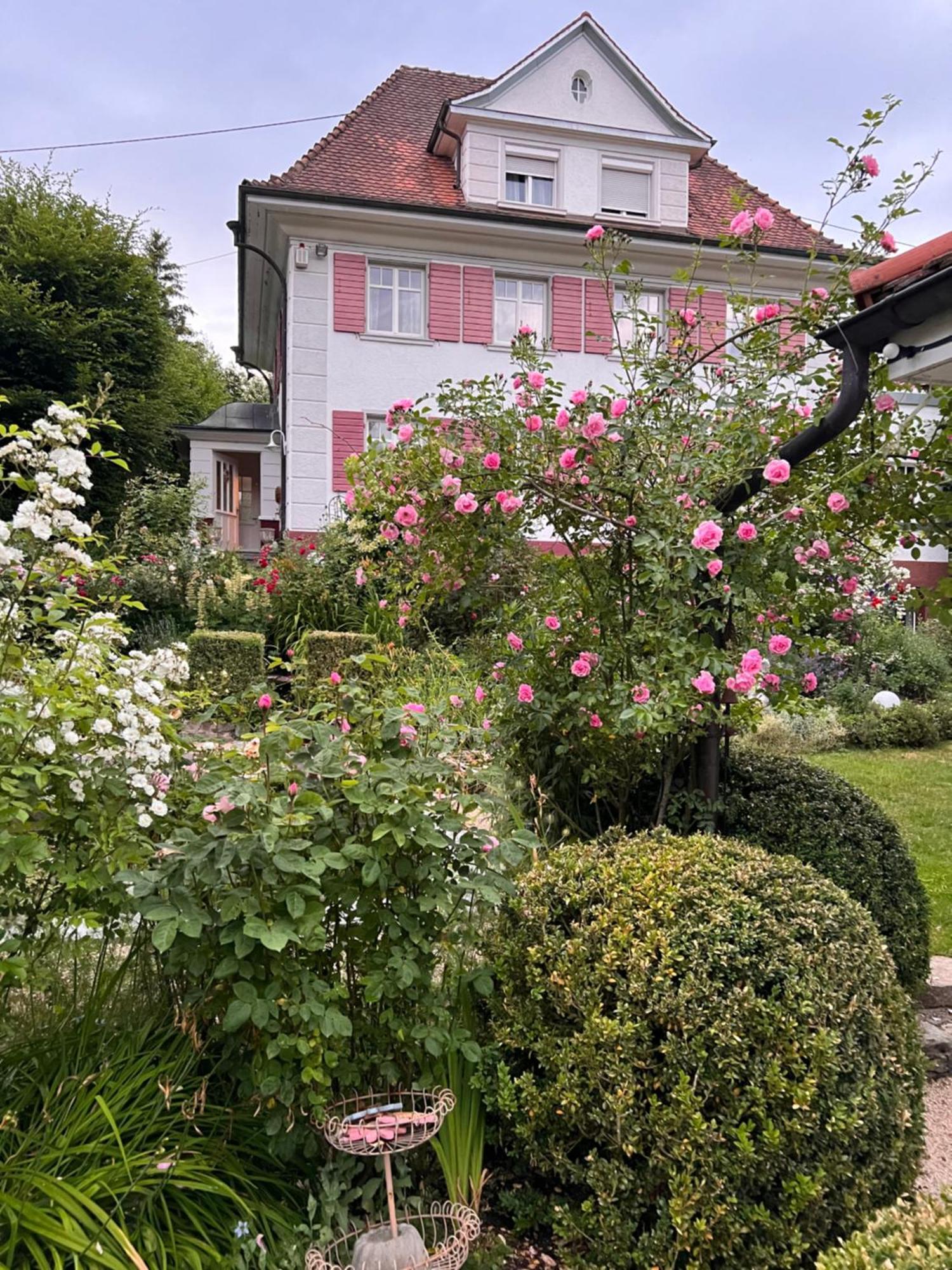 B&B Rosenliebe Niedereschach Εξωτερικό φωτογραφία