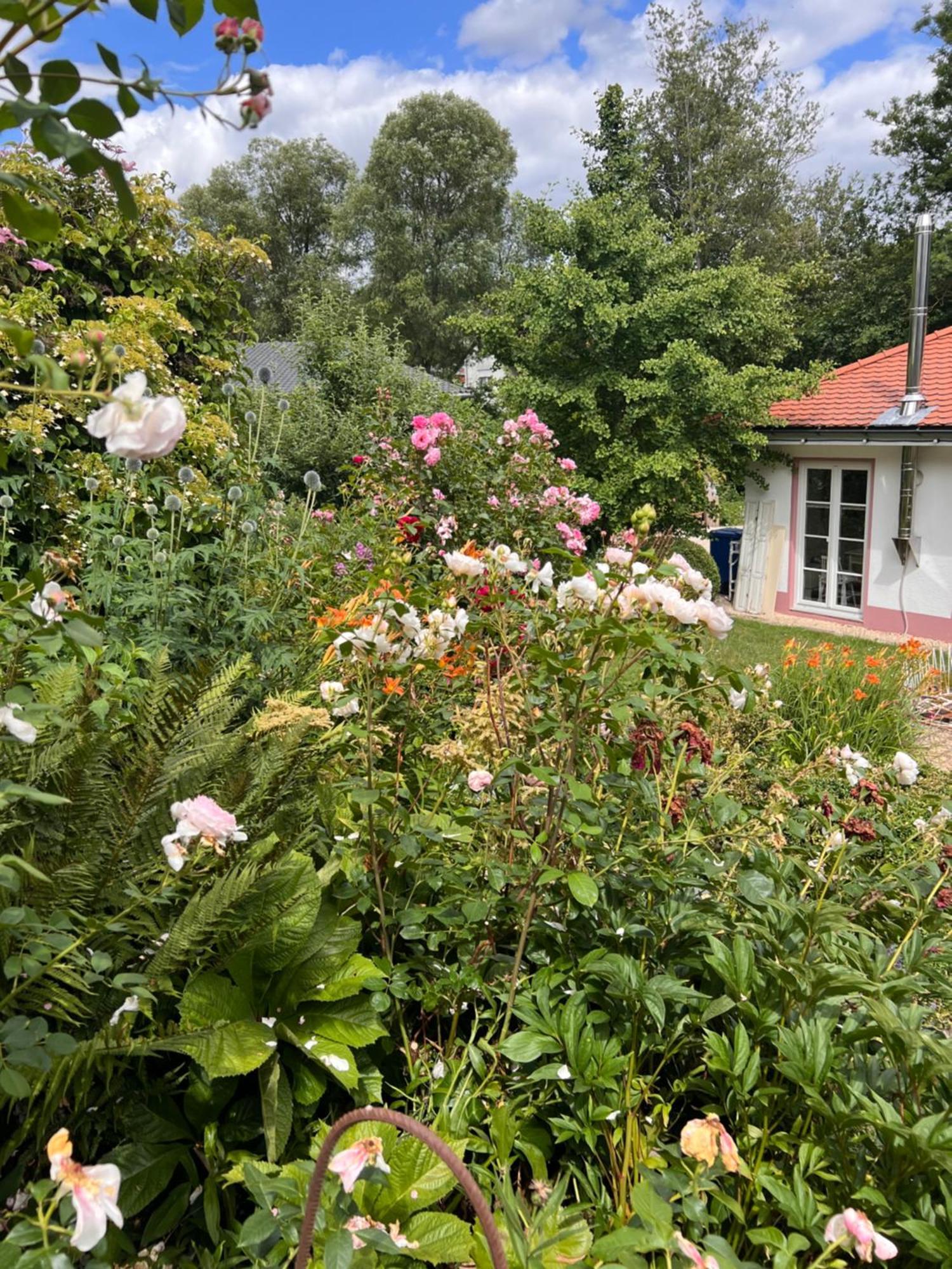 B&B Rosenliebe Niedereschach Εξωτερικό φωτογραφία
